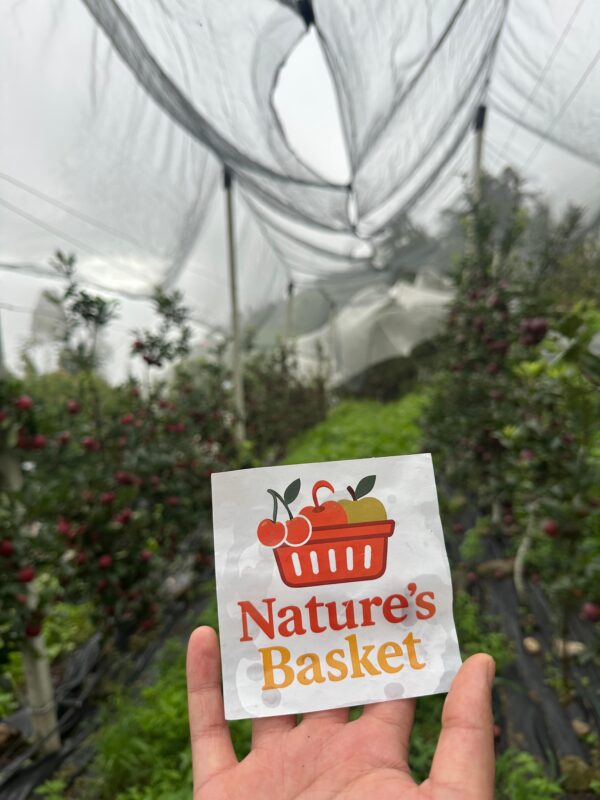 Kotgarh Apples – Crisp, Juicy & Naturally Grown - Image 7