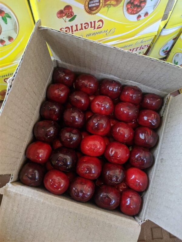 Kotgarh Cherries – Sweet, Juicy Gems from the Hills. - Image 2