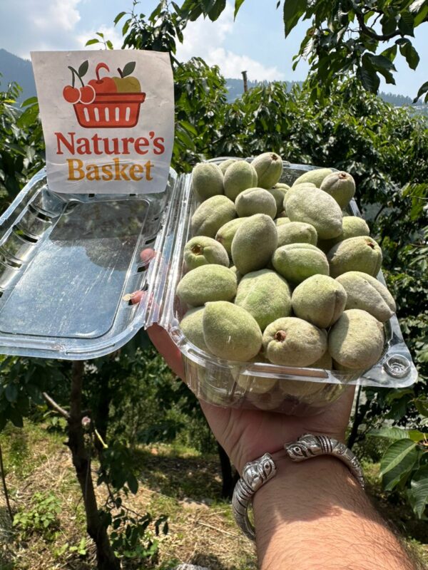 Kotgarh Hill Almonds – Fresh & Natural - Image 2