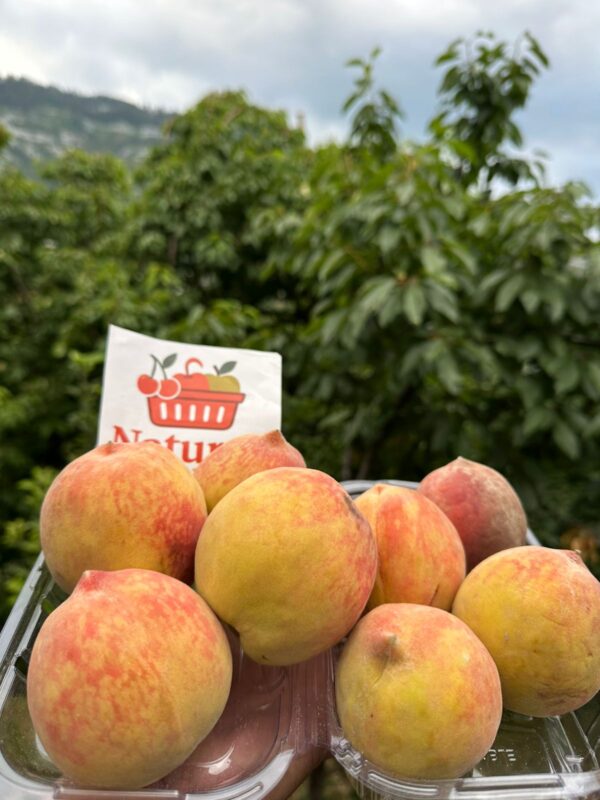 Kotgarh Fresh Peaches – Orchard-Grown & Naturally Sweet - Image 2